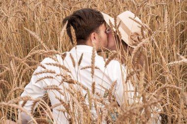 Buğday Tarlasında Aşk Hikayesi