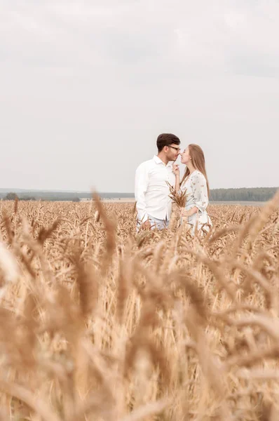 Milostný příběh v pšeničném poli — Stock fotografie