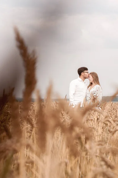 História de amor em um campo de trigo — Fotografia de Stock