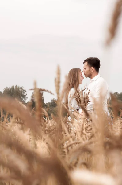 História de amor em um campo de trigo — Fotografia de Stock