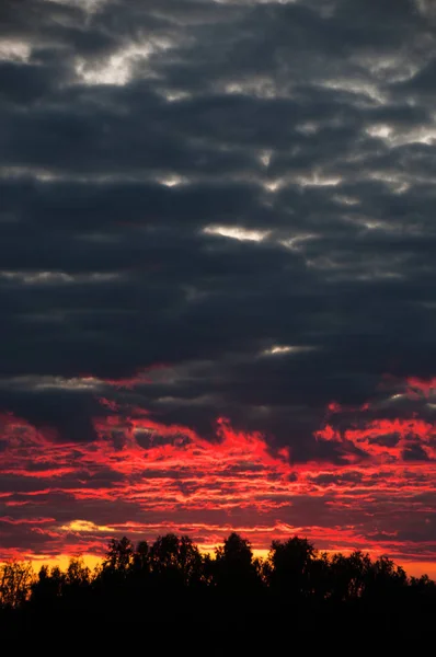 Beautiful dark blue-red sunset with clouds on the sky with horiz — Stock Photo, Image