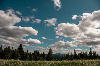 Mavi gökyüzü ile yaz manzarası ve güneşli bir günde yeşil çayır ve orman ile büyük beyaz bulutlar