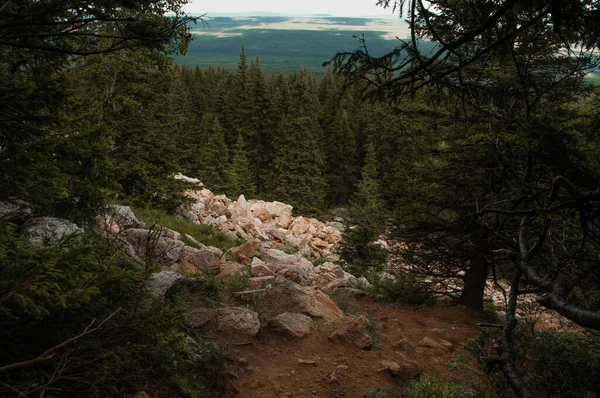 Pedras Floresta Coníferas Topo Uma Cordilheira Rússia Ural Zyuratkul Ridge — Fotografia de Stock