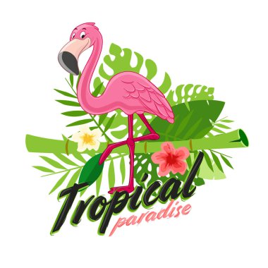 Flamingo karikatür kuş vektör çizim 