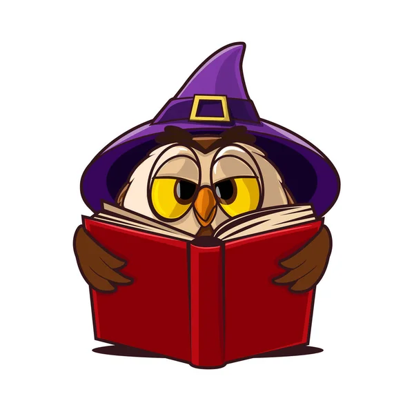 Owls Wizard Hat Cartoon Illustration — Stock Vector