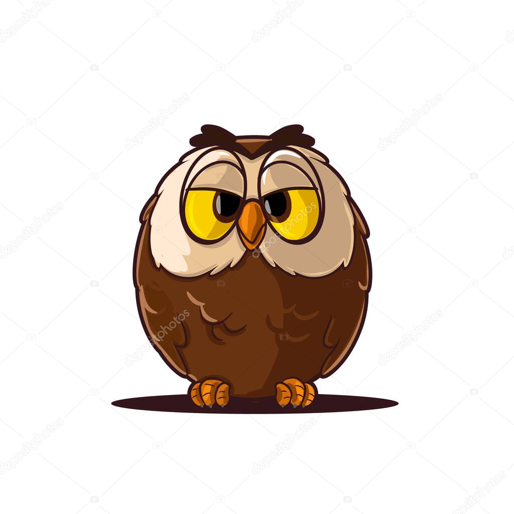 owl with glasses illustration banner