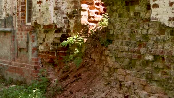 Vieille église en brique rouge ruinée. Au milieu il y a une ouverture traversante . — Video