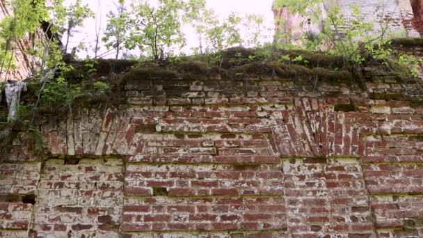 Mur d'une vieille église en brique rouge avec verdure . — Video