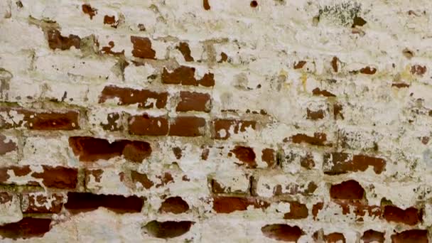 Une petite partie d'un vieux mur de briques rouges . — Video