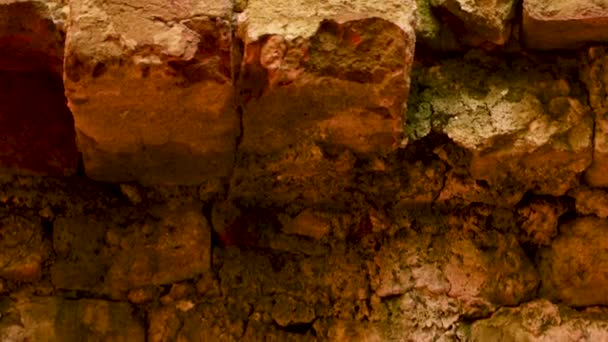 Gros plan d'un mur de briques rouges viré au vert de temps en temps . — Video