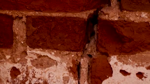 Długa szczelina w starym murze. — Wideo stockowe