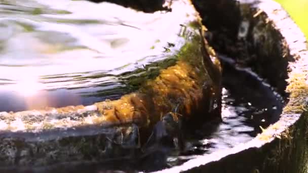 Close-up van schoon water stroomt langzaam uit de pijp. — Stockvideo