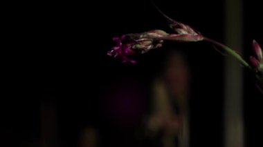 Kızıl bir çiçeğin yalnız tomurcuğu gece eğildi.. 