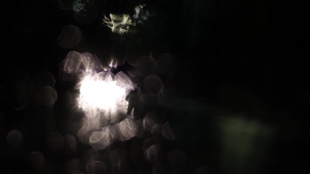 Puntos de luz en movimiento abstractos forman una imagen de fantasía . — Vídeo de stock