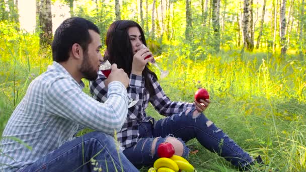 Dívka a muž pozvednou sklenice s pitím. — Stock video