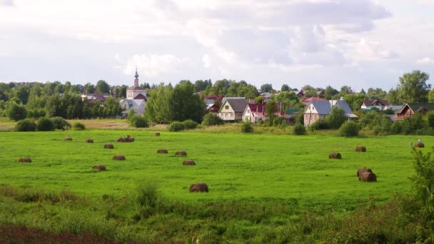 Літній пейзаж з зеленою лукою і сільськими будинками.. — стокове відео