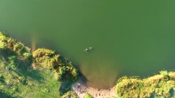 Аерофотозйомка красивого озера з зеленою водою . — стокове відео