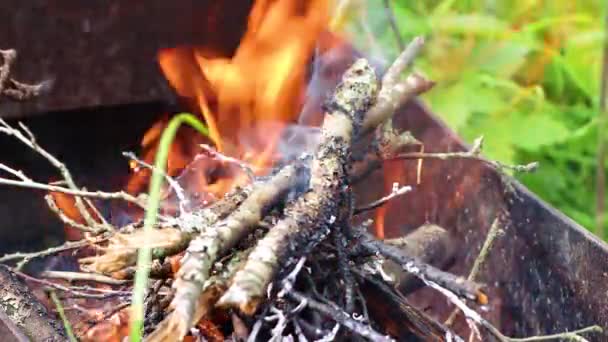 Brudte grene af gamle træer ligger i grillen og brænder. – Stock-video