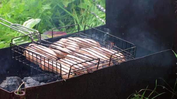 Les saucisses sont grillées. Les charbons chauds brillent dans le brasero. — Video