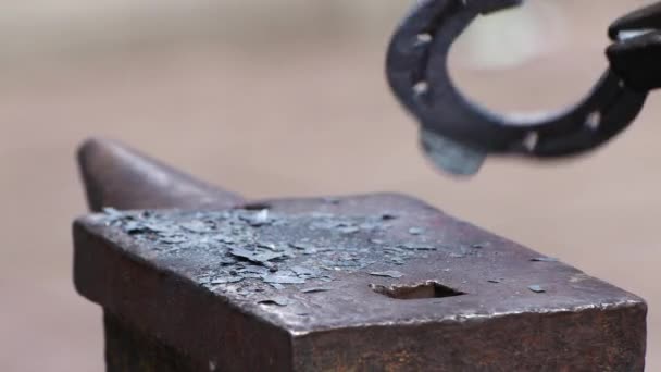 Close-up of a blacksmiths hammer aligns a horseshoe. — Stock Video