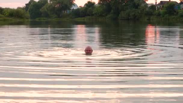 Ένας νεαρός κολυμπάει σε μια δροσερή λίμνη.. — Αρχείο Βίντεο