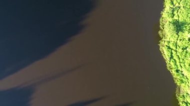 Yeşil ağaçlı güzel bir göl manzarası..