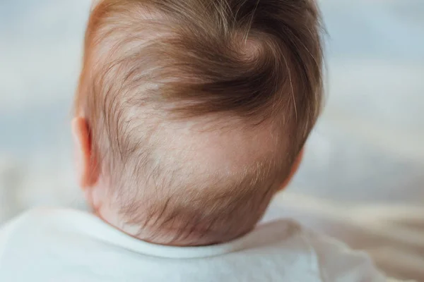 Careca Parte Trás Cabeça Bebê — Fotografia de Stock