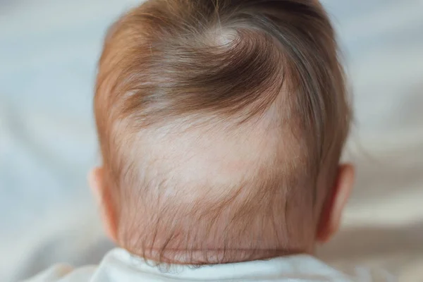 Careca Parte Trás Cabeça Bebê — Fotografia de Stock