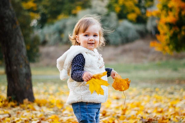 Klein Peuter Meisje Speelt Gevallen Bladeren Herfst Park — Stockfoto