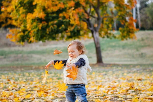 Klein Peuter Meisje Speelt Gevallen Bladeren Herfst Park — Stockfoto