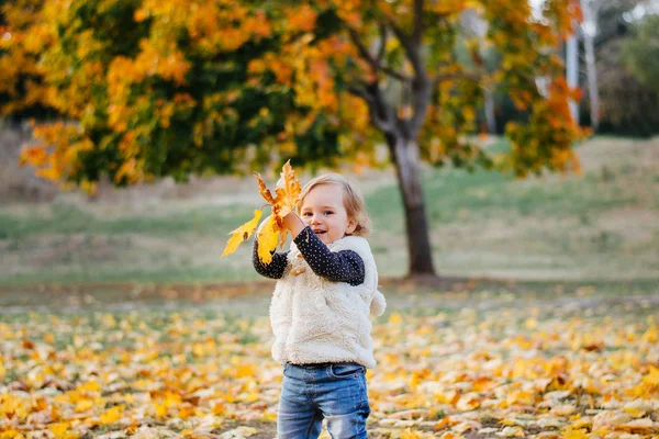 小さな幼児の女の子は秋の公園で落ち葉で遊んでいます — ストック写真