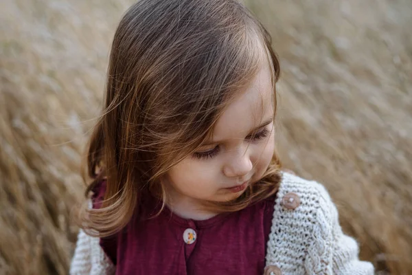 Kleine Peuter Meisje Trui Het Gebied Van Uitgedroogd Gras Een — Stockfoto