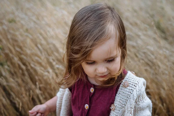 Kleine Peuter Meisje Trui Het Gebied Van Uitgedroogd Gras Een — Stockfoto