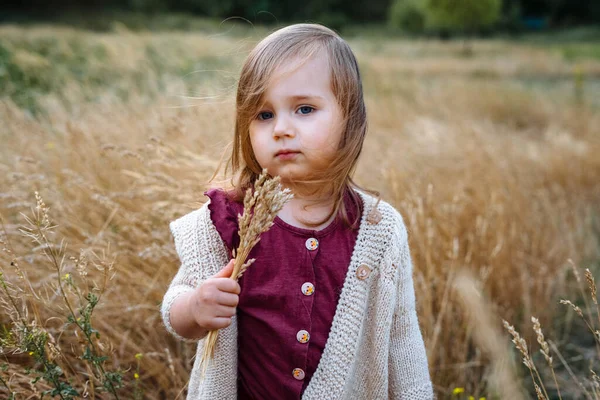 Kleine Peuter Meisje Trui Het Gebied Van Uitgedroogd Gras Een — Stockfoto