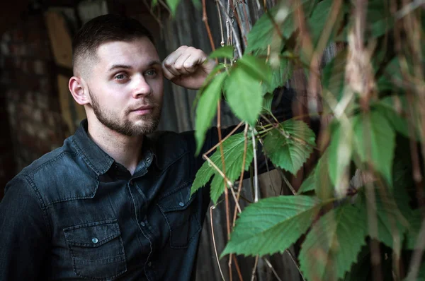 bir gömlek ve pantolon genç bir adam portresi