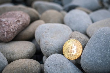 Cryptocurrency büyük deniz taş arasında sahilde