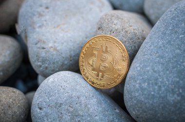 Cryptocurrency büyük deniz taş arasında sahilde