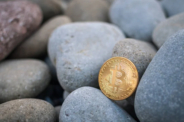 Cryptocurrency büyük deniz taş arasında sahilde