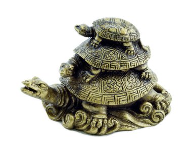 Beyaz arka plan üzerinde izole altın kaplumbağalar