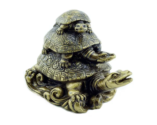 Beyaz arka plan üzerinde izole altın kaplumbağalar