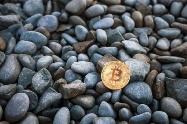 Cryptocurrency büyük deniz taş arasında sahilde