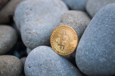 Cryptocurrency büyük deniz taş arasında sahilde