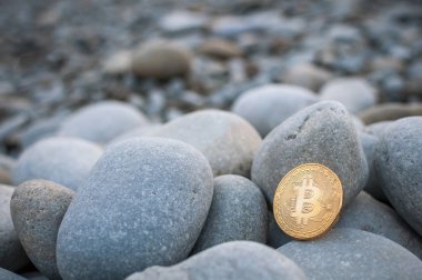 Cryptocurrency büyük deniz taş arasında sahilde