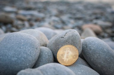 Cryptocurrency büyük deniz taş arasında sahilde