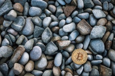 Cryptocurrency büyük deniz taş arasında sahilde