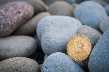 Cryptocurrency büyük deniz taş arasında sahilde