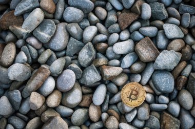 Cryptocurrency büyük deniz taş arasında sahilde