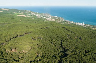 Yeşil çim kıyıya yakın yerde wate beyaz yüzey