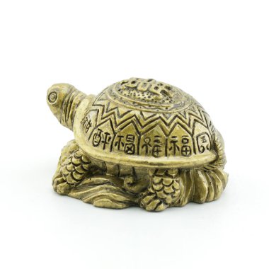 Beyaz arka plan üzerinde izole altın kaplumbağalar