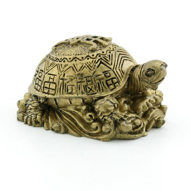 Beyaz arka plan üzerinde izole altın kaplumbağalar